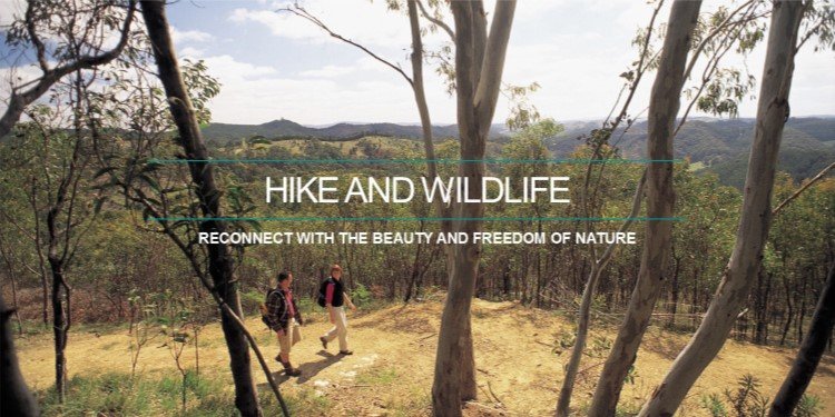 Cleland Hike and Wildlife