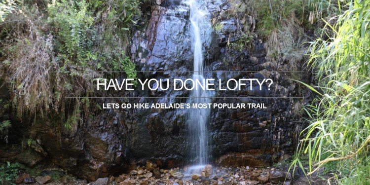 Waterfall Gully to Mount Lofty Summit Hike