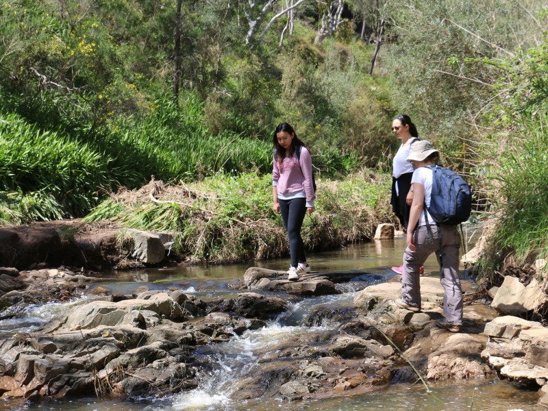 hiking over river in morialta wildlife park