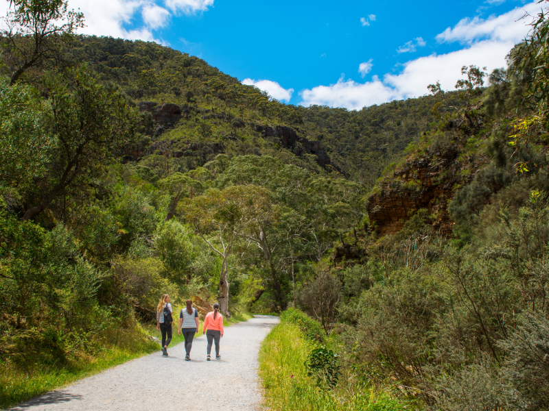 Guided bushwalk at Morialta Conservation Park