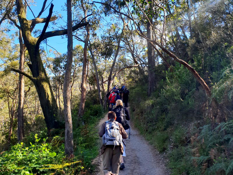 Private Adelaide Bushwalk Tour