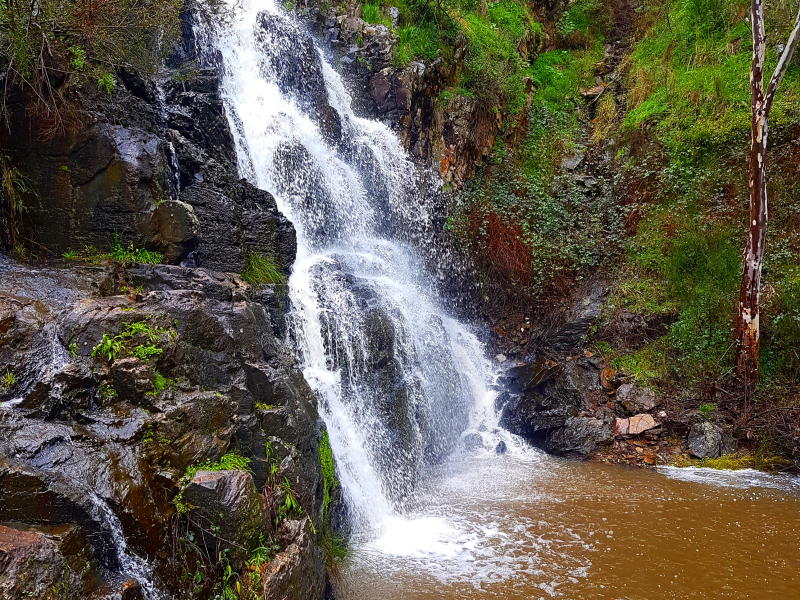 waterfall with rock pool in morialta falls