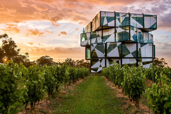 d'Arenberg Winery experience tour in McLaren Vale wine region