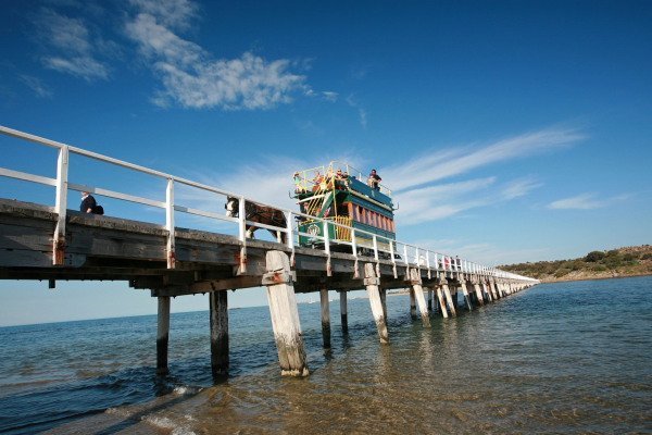 victor harbor tour to granite island across bridge