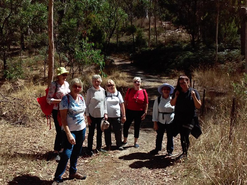 Bushwalking group at Morialta - Photo: Pure SA